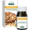 VIS GIORGINI SER-VIS Boswellia Estratto Titolato 60 Pastiglie