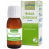 BOIRON SRL Betula Pubesc Boiron Macerato Glicerico 60 Ml