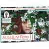 DEAKOS SRL Ausilium Flora 10 Capsule
