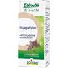 BOIRON SRL Harpagophytum Boiron Estratto Idroalcolico 60 Ml