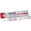 DDFARMA SRL Visvit Pasta Os Siringa 15 G