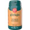 ERBA VITA GROUP SPA Ginkgo 60 Capsule