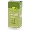FARMADERBE SRL Olivo Infuso Foglie 500 Ml