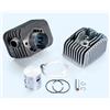 POLINI MOTORI SPA Gruppo termico d.43 sp.10 Piaggio CIAO - 140.0065/10