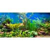 MIRRORANG 61x41cm Acquario Sfondo Pianta Acquatica Fiume Letto & Lago Acquario Poster Sfondo Vinile Sfondo