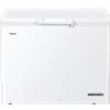 HAIER Congelatore a pozzo HCE301E
