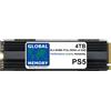 Global Memory 4TB M.2 2280 Pcie Gen4 x4 Nvme SSD Con Dram + Dissipatore Per PLAYSTATION 5 (PS5