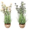 DKD Home Decor Impianto Ornamentale, Standard