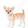 FEimaX Pettorina per Cani con Zaino Regolabile Imbracatura per Animali Domestici Traspirante Carino Gilet Cuccioli con Guinzaglio per Cani e Gatti di Piccola e Media Taglia