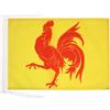 AZ FLAG Bandiera Vallonia 45x30 cm - Bandierina Regione Vallone In Belgio 30x45 cm Cordicelle
