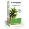 ARKOFARM ANANAS ARKOCAPSULE GMB 45CPS - ARKOFARM - 908051737
