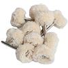 MJIKOO 1 Feltro di lana abrasivo abrasivo testa abrasiva lucidatrice ruota 2,35/3 mm gambo filo di cotone lucidatura mini spazzola per Dremel Dril, filo 10 pezzi, con gambo 2,35 mm
