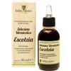 Erbecedario Tintura Madre Escolzia Erbecedario, Soluzione Idroalcolica, Gocce Per Dormire Naturali, Gocce Rilassanti Adulti Per Dormire La Notte, Calma Stress Per Un Sonno Profondo Tutta Notte, 1 Flacone 50 ml