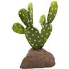 Lucky Reptile Cactus a Coda di Castoro