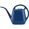 Fasmov Annaffiatoio in Plastica da 4 Litri Leggero Spruzzatore d'acqua Annaffiatoio per Giardino Casa all'aperto Fiore Pianta Bonsai (Blu)
