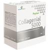 AQUA VIVA Srl Collagenial 5000 (10 fiale)