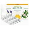 ERBAMEA ALLERBE 24 CAPSULE VEGETALI BLISTER