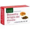 NATURA SERVICE BOSWELLIA ARTIGLIO DIAVOLO VITAMINE B2 B6 B9 60 CAPSULE