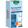 ESI FERMENTAL GONFIORE 10 STICK OROSOLUBILI