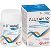 CANDIOLI GLUTAMAX ADVANCED 30 COMPRESSE