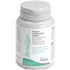 BENDIAR MAXI 20 COMPRESSE
