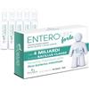 ENTEROLIFE FORTE 4 MILIARDI 10 FIALE DA 5 ML