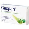 GASPAN CAPSULE MOLLI GASTRORESISTENTI CAPSULA MOLLE GASTRORESISTENTE 14 CAPSULE IN BLISTER PVC/PVDC-AL