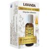 GIORGINI LAVANDA OLIO ESSENZIALE NATURALE 10 ML