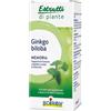 BOIRON GINKGO BILOBA BOIRON ESTRATTO IDROALCOLICO 60 ML