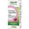 BOIRON ECHINACEA BOIRON ESTRATTO IDROALCOLICO 60 ML