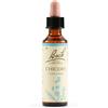 SCHWABE PHARMA ITALIA CHICORY BACH ORIG 20 ML