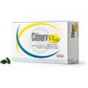 BIODUE BIOFTA CITINERV PLUS 30 PERLE