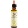 SCHWABE PHARMA ITALIA MUSTARD BACH ORIG 20 ML