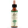 SCHWABE PHARMA ITALIA CENTAURY BACH ORIG 20 ML