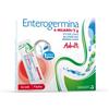 ENTEROGERMINA 6 MILIARDI/2 G POLVERE ORALE 6 MILIARDI / 2 G POLVERE ORALE 9 BUSTINE PET/AL/PE DA 2 G