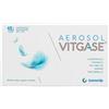 VITGASE AEROSOL 15 FLACONCINI 5 ML