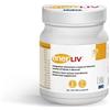IMO ENERLIV 350 G