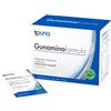 GUNAMINOFORMULA 42 BUSTINE 273 G