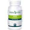 ERBA VITA FUCUS 125 TAVOLETTE