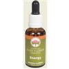 VIVACITY 30 ML GOCCE