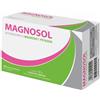 MAGNOSOL 20 BUSTINE EFFERVESCENTI