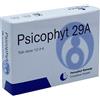 PSICOPHYT REMEDY 29A 4 TUBI 1,2 G