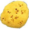 FARMACARE SPUGNA NATURALE FORI L 11/12CM 8