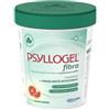 PSYLLOGEL FIBRA ARANCE ROSSE VASO 170 G