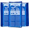 SicurAID Ghiaccio Gel Riutilizzabile Caldo Freddo 3 Pezzi Grandi + 3 Sacche