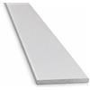 AL.GO.SAS Profilo alluminio argento satinato 40x3 da mt.1.5