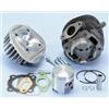 POLINI MOTORI SPA Gruppo termico cilindro d.50 pistone Piaggio VESPA 50-PK-XL-APE - Polini 1400059