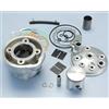 POLINI MOTORI SPA Gruppo termico MINARELLI AM 6-APRILIA AF1-RS-RX D.50 H2O - 133.1008