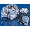POLINI MOTORI SPA Gruppo termico MOTORE ROTAX 122/123 D.60 (APRILIA 125) - 146.0800