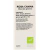 OTI Srl OT.ROSA CANINA MG GTT 100ML